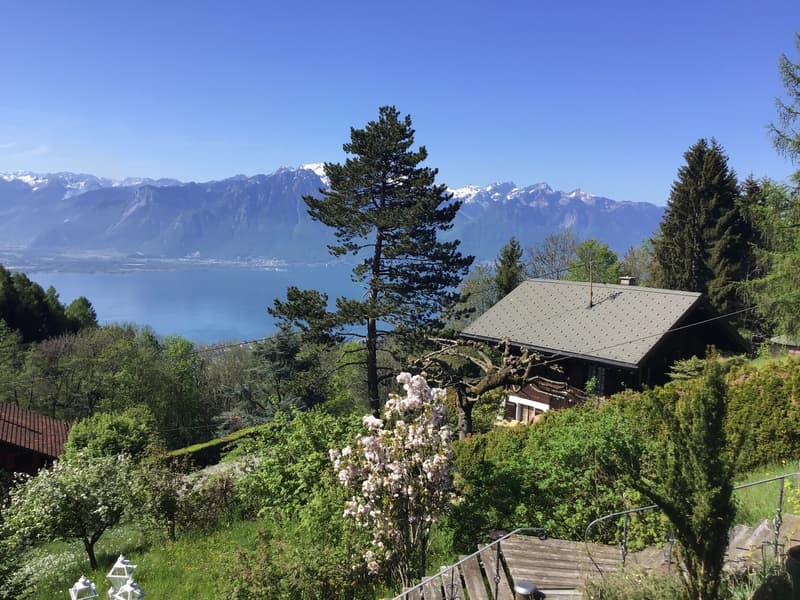 Overlooking a lake and mountains in the distance