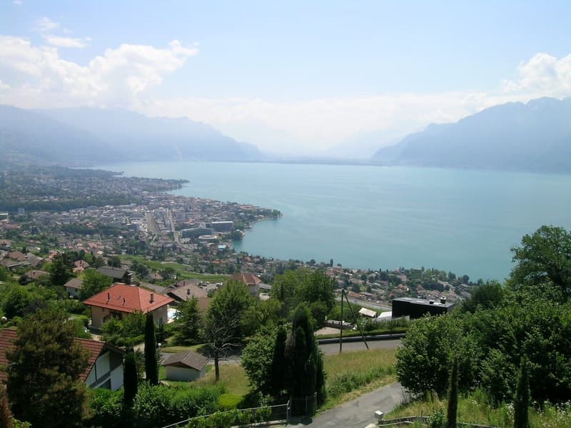 Aerial view of a town with houses, a lake, and mountains in the background