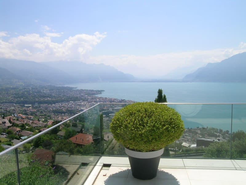 glass railing, large green bush, view of mountains and lake