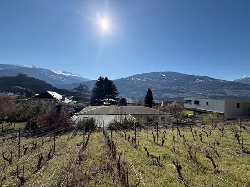 vineyard, mountains, clear sky, houses, trees