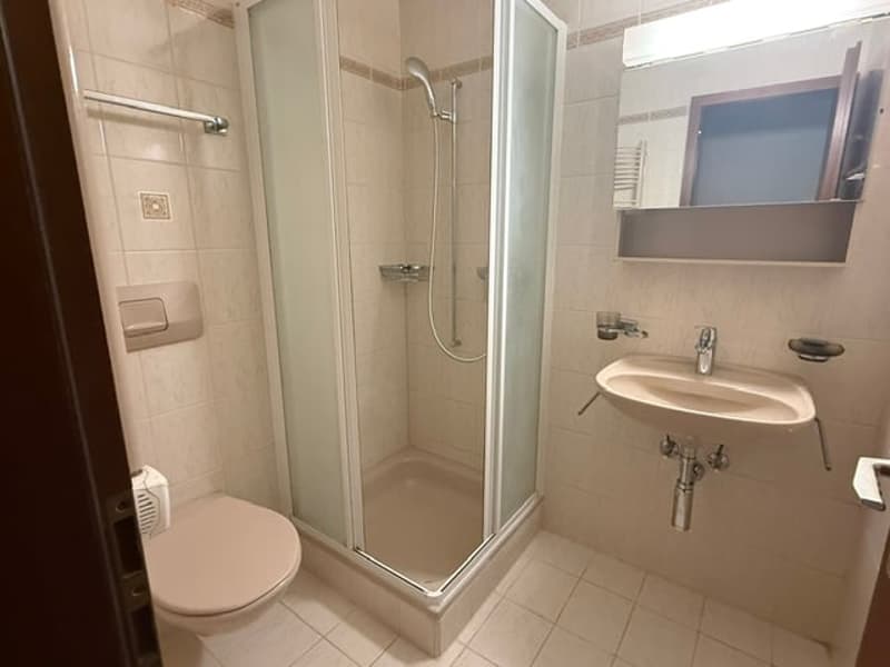 Appartement à Savigny, 5,5 pièces avec balcon et terrasse (8)