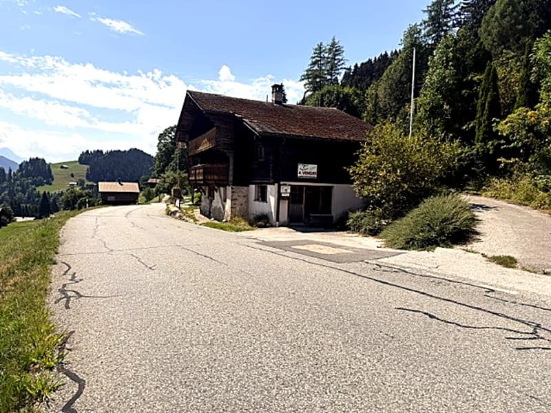 Les Mosses, Chalet individuel de 5.5 pièces à La Comballaz (3)