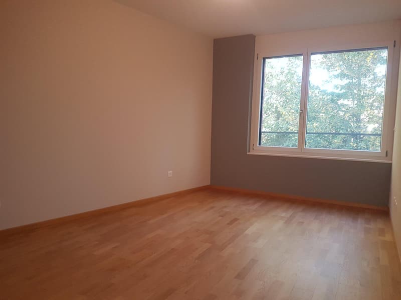 Spacieux 4.5 pièces au calme (5)