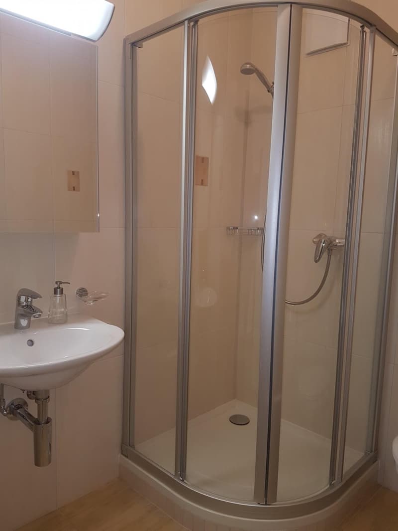 Spacieux 4.5 pièces au calme (6)