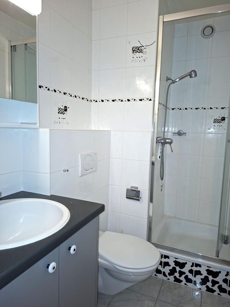 Bel appartement en duplex de 6 pièces dans un cadre exceptionnel (8)