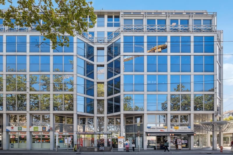 L'immeuble est desservi par 2 ascenseurs, accès sécurisé et équipé de la fibre optique. (2)