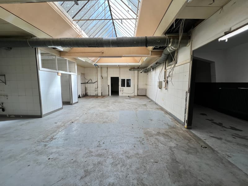 Locaux commerciaux bruts de 396 m2 sur 3 niveaux. (4)