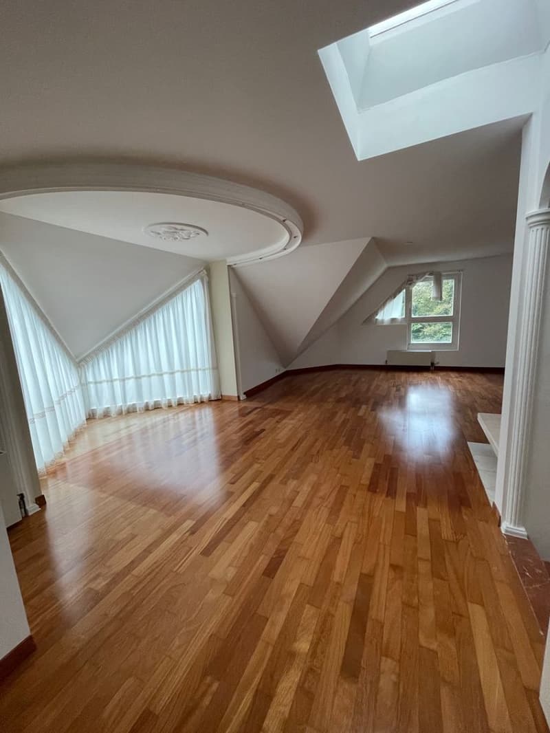 Beau duplex avec balcon offrant une vue sur le Léman et le Mont-Blanc. (7)