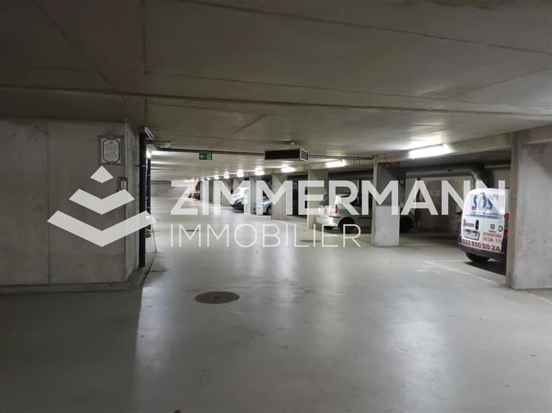 Parking vue 2