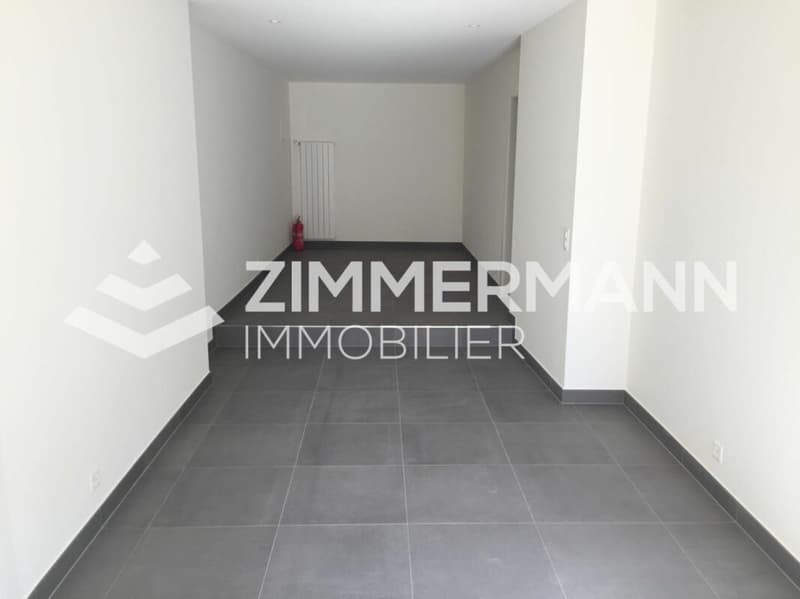 Administratif/Bureau 34 m2 à Founex (4)
