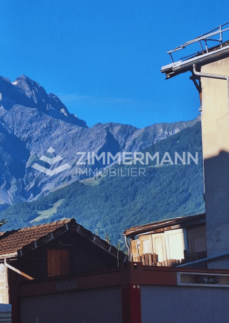 BEX : Local commercial au rez de 67 m2 (10)