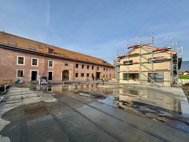 Appartement attique combles 5 pièces à Borex (3)