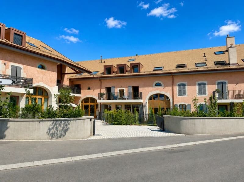 Apartment 4.5 rooms in Borex (1)