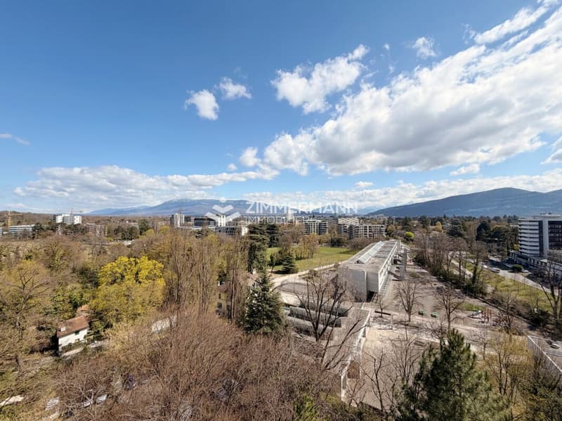 Appartement de 2 pièces dans une résidence de standing à Cologny - En vente (2)
