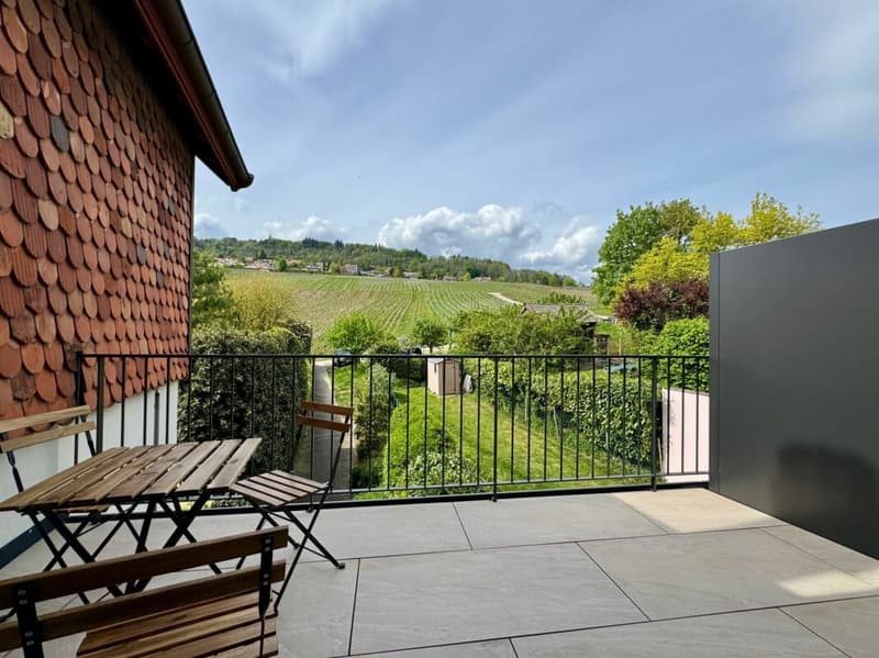 Appartement de charme entre vignes et authenticité (2)