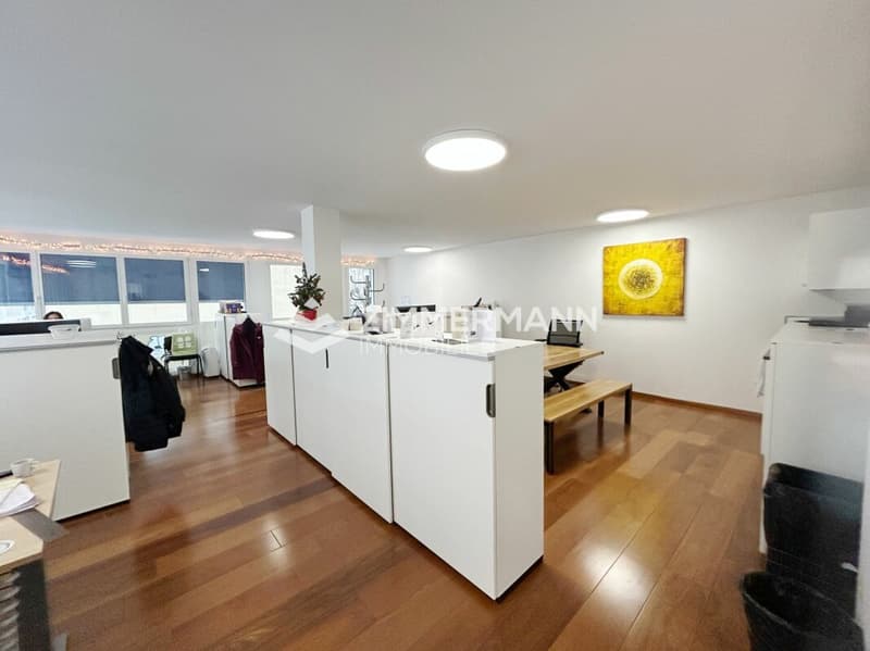 Bureaux aux Pâquis (4)