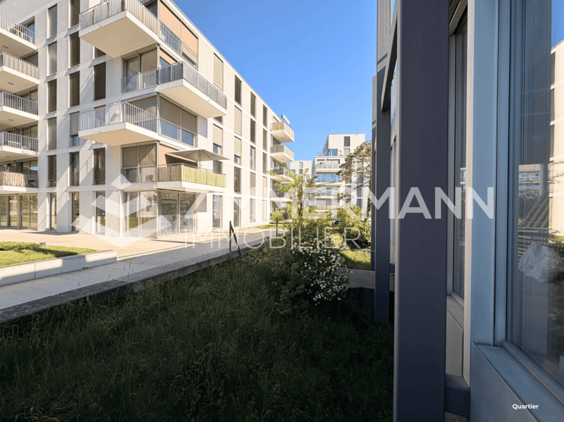 Surface commerciale au rez 525m2 (9)
