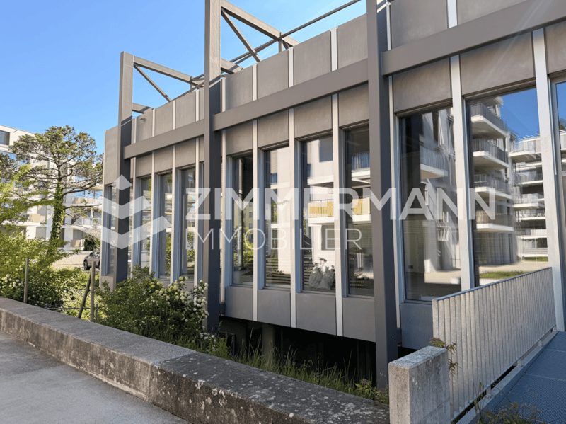 Surface commerciale au rez 525m2 (7)