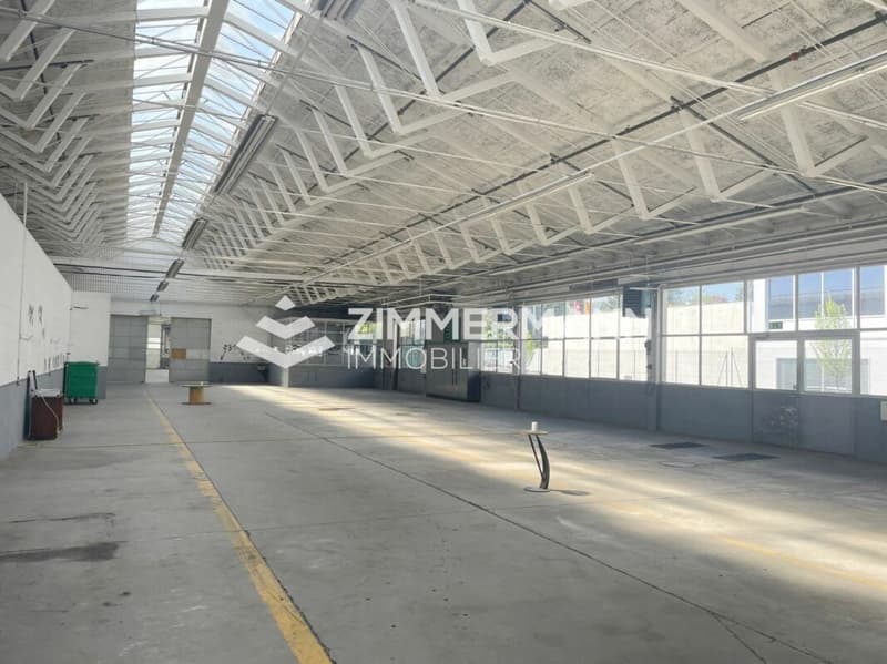 Grande surface industrielle de 1'020 m² avec surface extérieur à Meyrin (3)