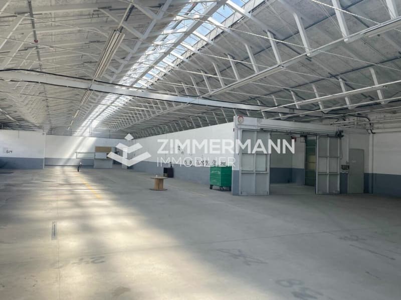 Grande surface industrielle de 1'020 m² avec surface extérieur à Meyrin (2)
