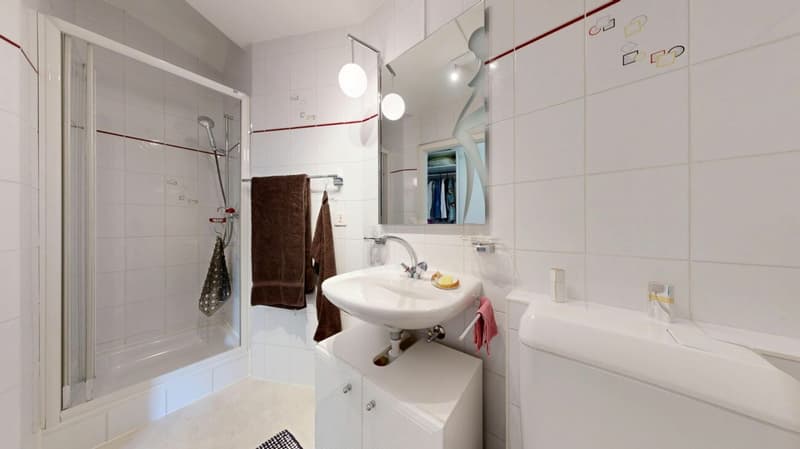 Salle de douche logement rez