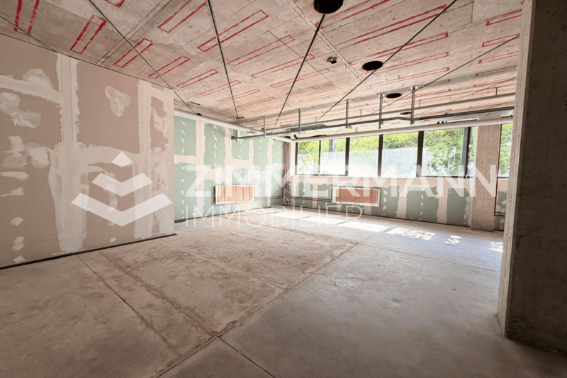 Grande surface commerciale de 350 m² à Ecublens - Un espace à fort potentiel pour votre activité (6)
