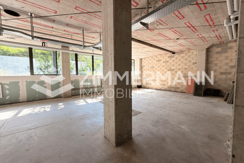 Grande surface commerciale de 350 m² à Ecublens - Un espace à fort potentiel pour votre activité (1)