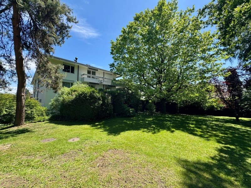 Appartement 4.5 pièces dans résidence proche du lac (3)