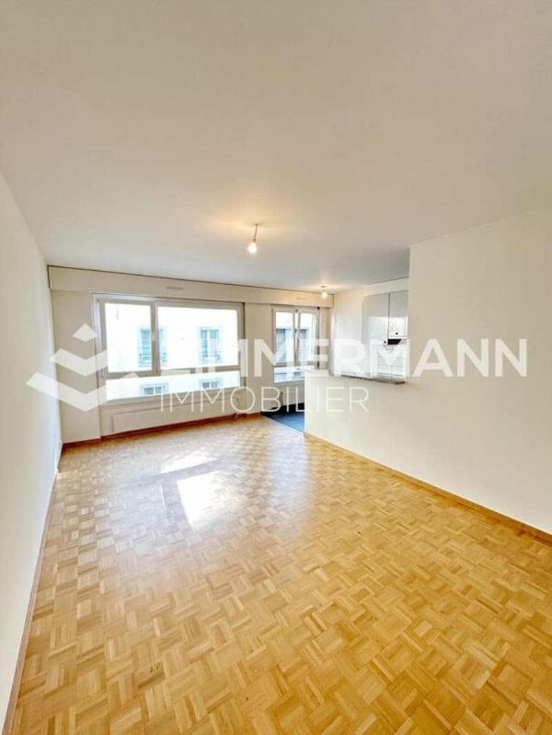 Superbe appartement au coeur des Pâquis ! (3)