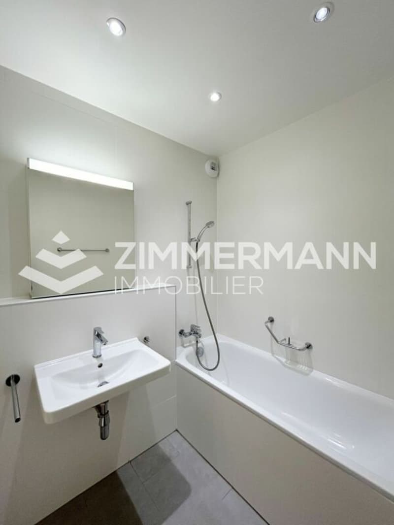 Superbe appartement au coeur des Pâquis ! (6)