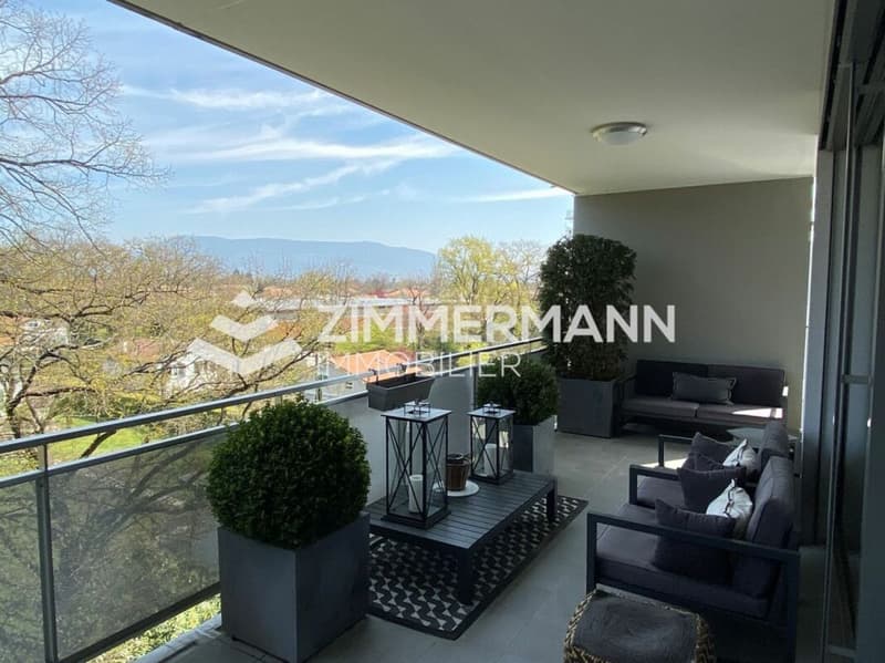 Magnifique 5 pièces meublé avec grande terrasse et vue dégagée (7)
