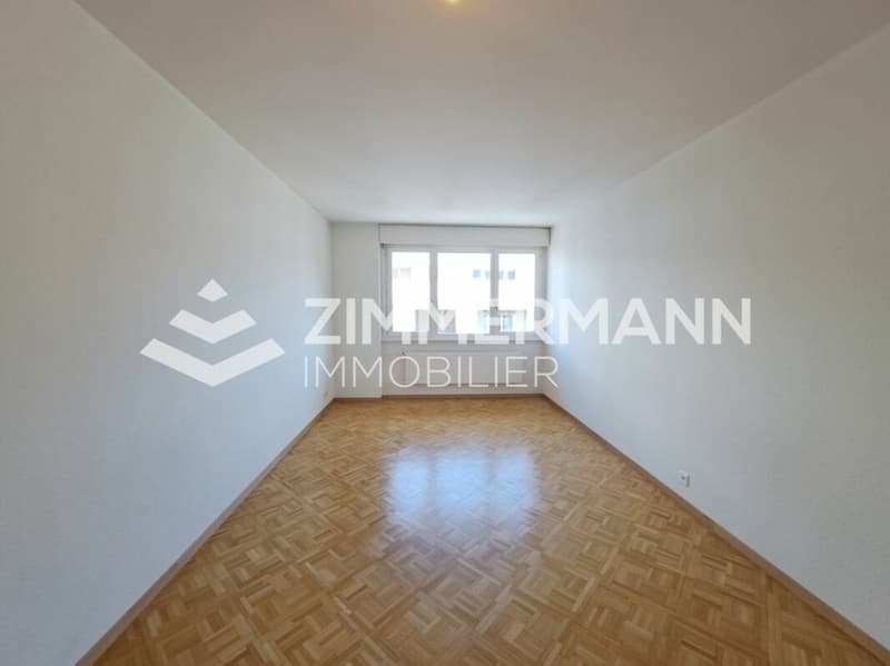 Appartement de 4 pièces à Plainpalais ! (4)