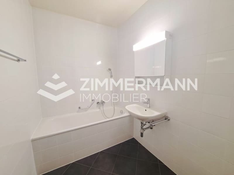 Superbe appartement au coeur de Vernier (4)