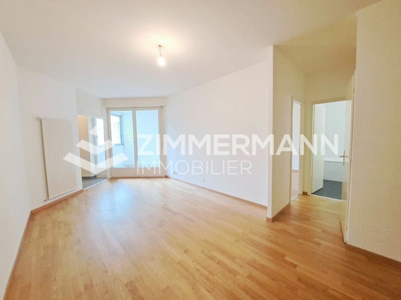 Superbe appartement au coeur de Vernier (2)