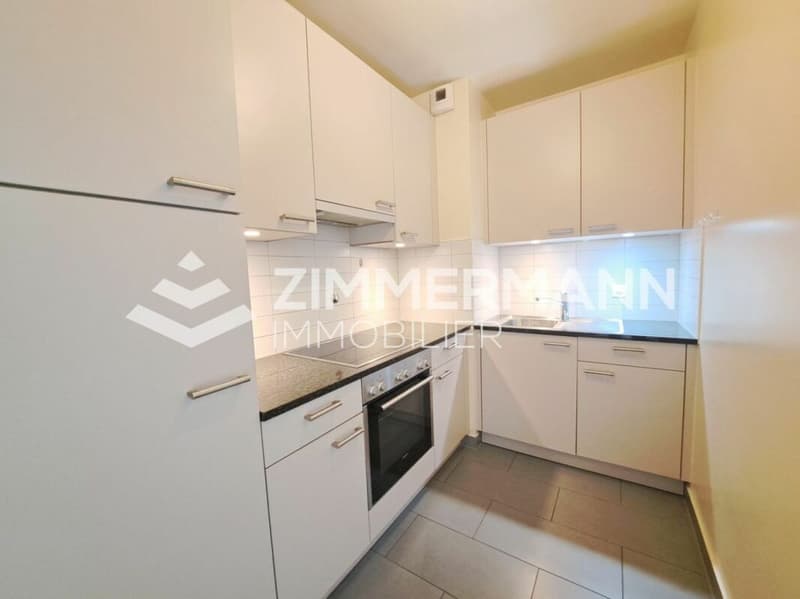 Superbe appartement au coeur de Vernier (3)