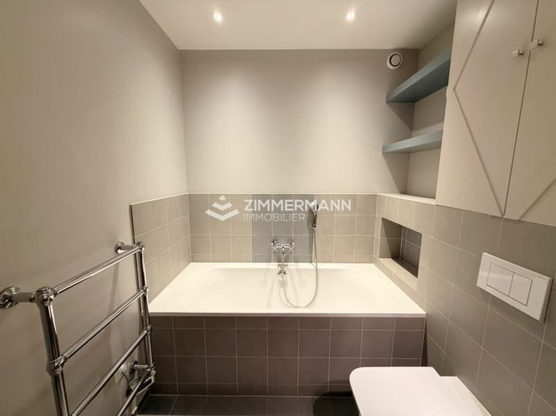Magnifique 5 pièces avec grande terrasse et vue dégagée ! (8)