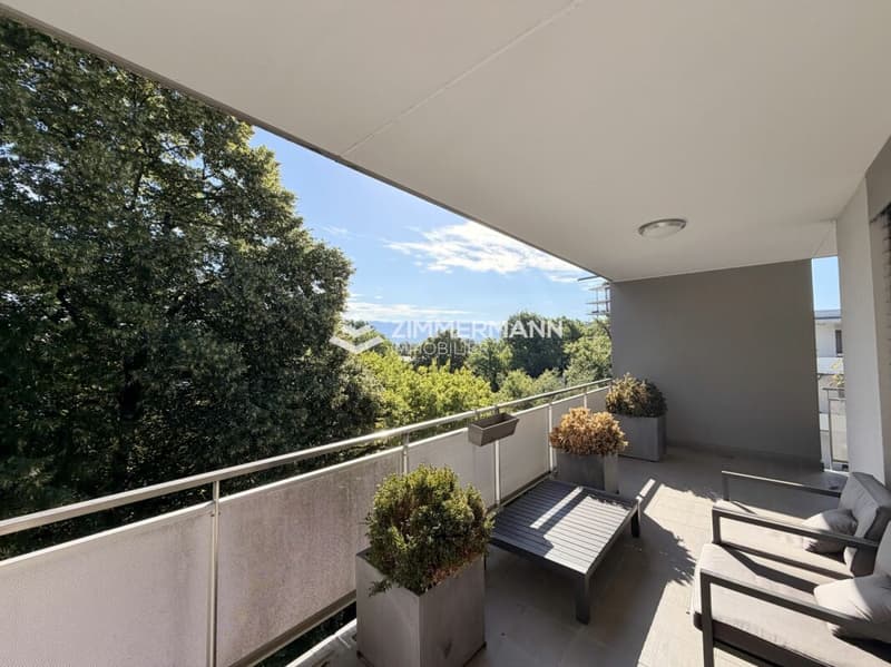 Magnifique 5 pièces avec grande terrasse et vue dégagée ! (2)