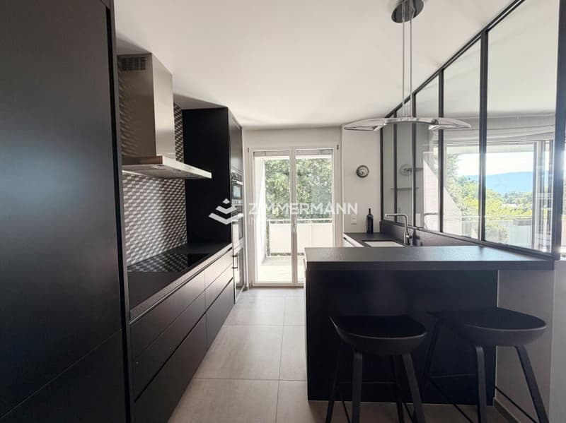 Magnifique 5 pièces avec grande terrasse et vue dégagée ! (3)