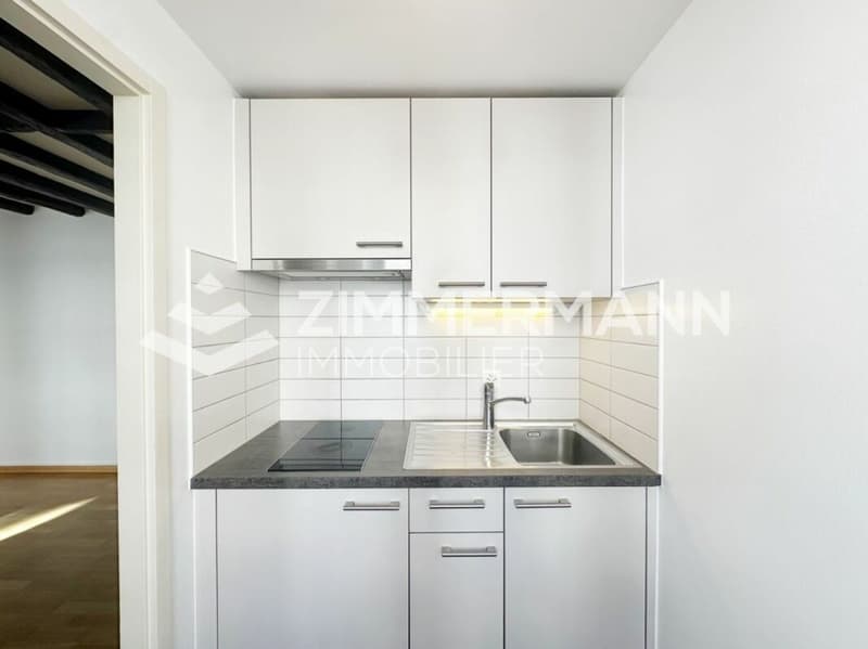 Vieux-Carouge - Spacieux studio avec du cachet ! (3)