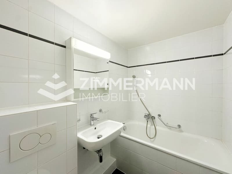 Vieux-Carouge - Spacieux studio avec du cachet ! (5)