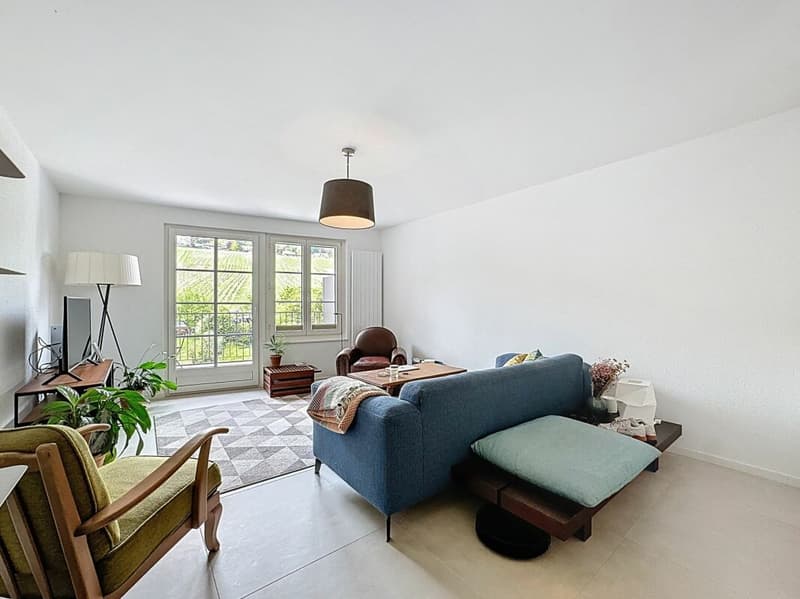 DUPLEX DE CARACTÈRE RÉNOVÉ AU COEUR DE FÉCHY-DESSUS (11)