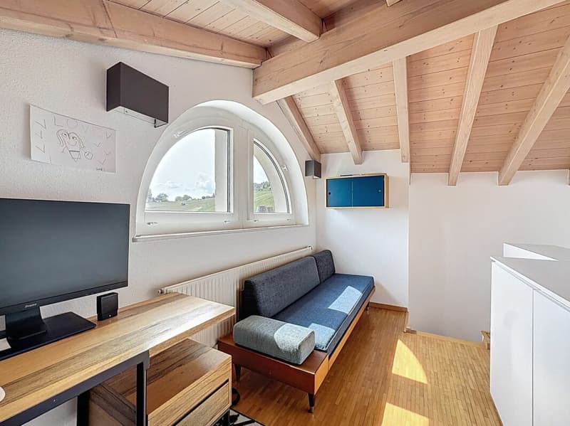 DUPLEX DE CARACTÈRE RÉNOVÉ AU COEUR DE FÉCHY-DESSUS (17)