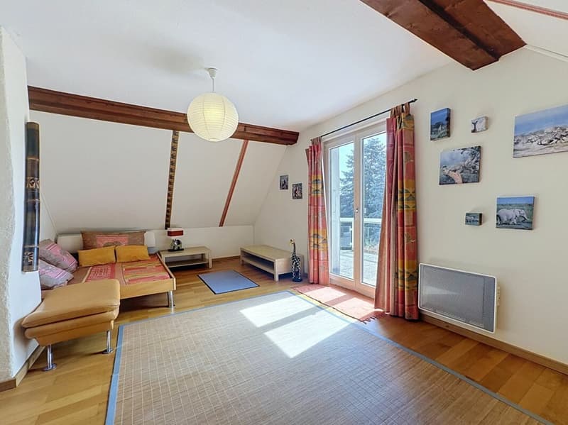 Villa individuelle avec piscine à Mollie-Margot (11)