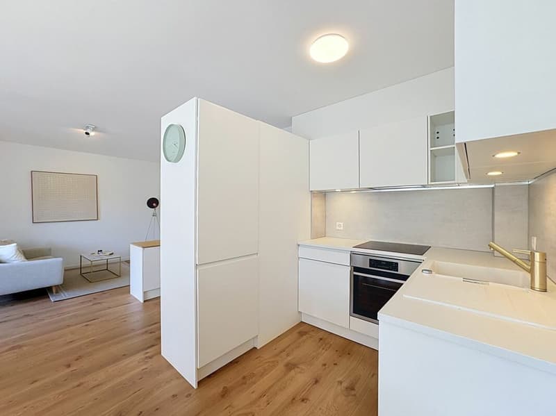 Appartement rénové, lumineux et parfaitement situé à Ecublens (7)
