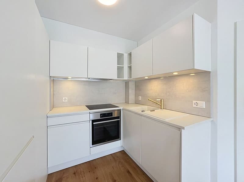 Appartement rénové, lumineux et parfaitement situé à Ecublens (6)