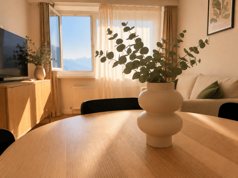 Appartements meublés au coeur de Sion (2)