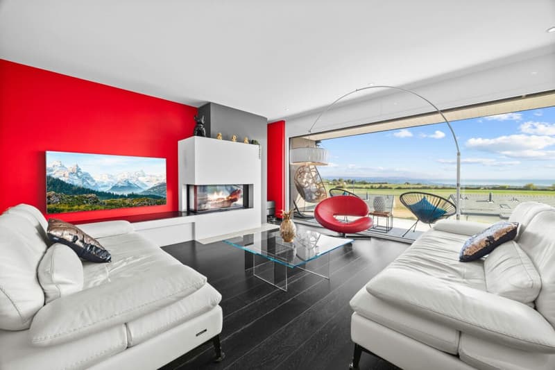 Villa contemporaine avec vue panoramique sur le Léman et les Alpes (1)
