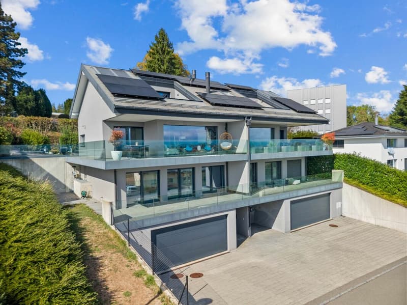 Villa contemporaine avec vue panoramique sur le Léman et les Alpes (2)