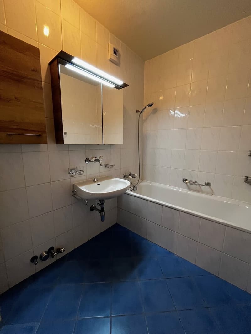APPARTEMENT TRAVERSANT DE 5 PIECES (9)