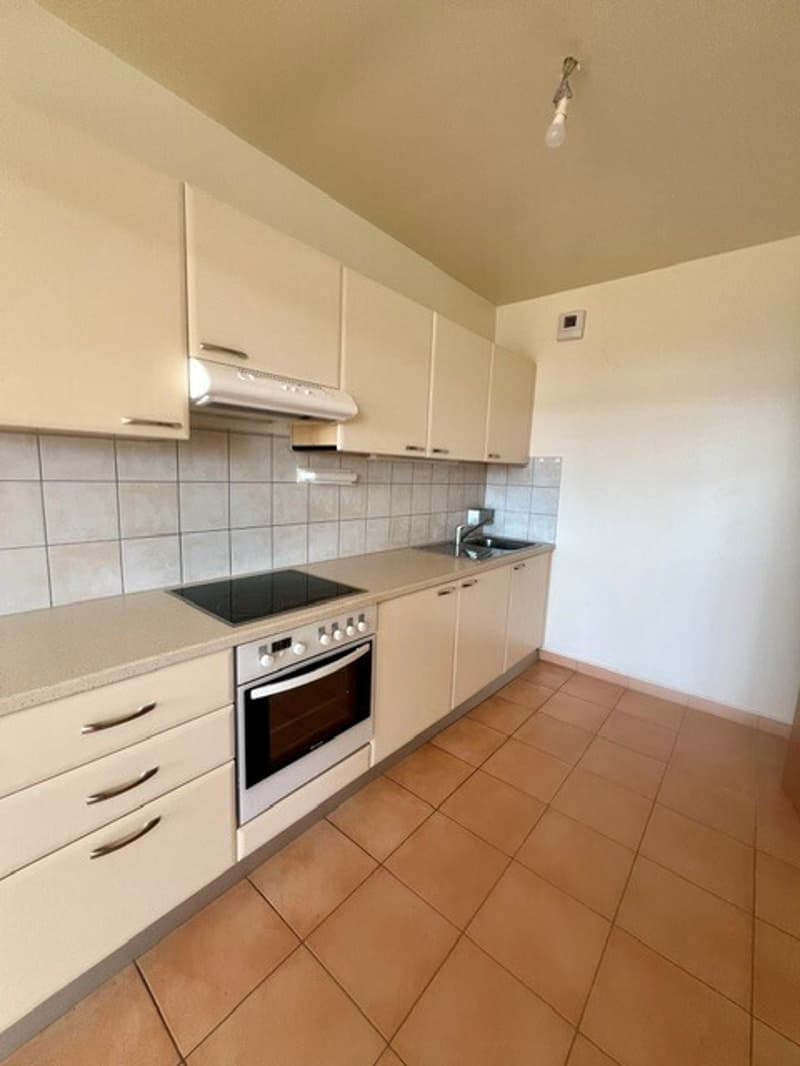APPARTEMENT TRAVERSANT DE 5 PIECES (5)
